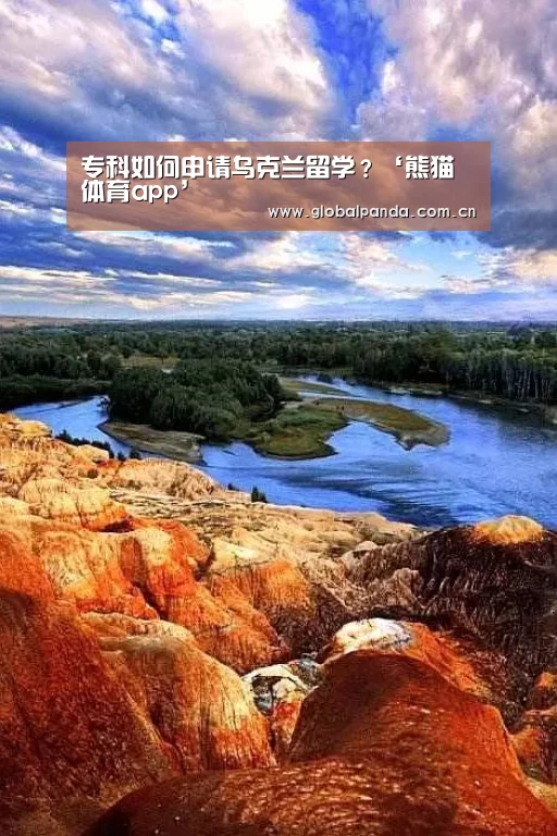 熊猫体育平台