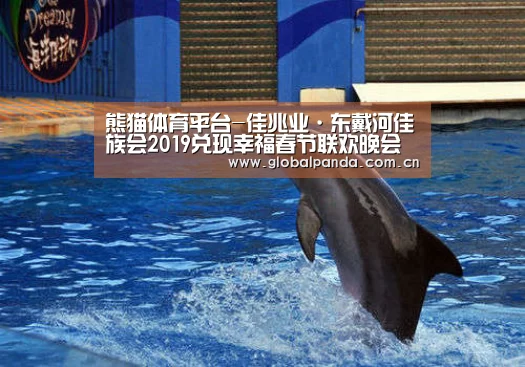 熊猫体育平台