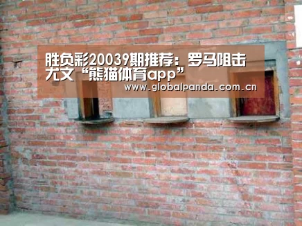 熊猫体育官网