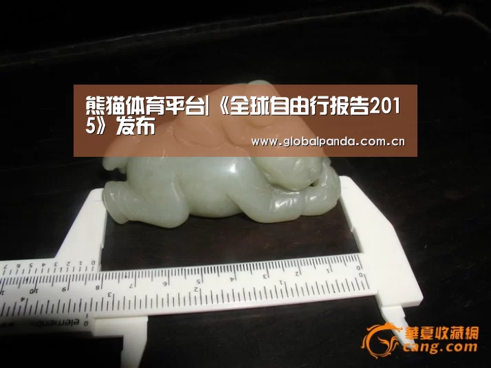 熊猫体育平台|《全球自由行报告2015》发布(图2) 熊猫入口